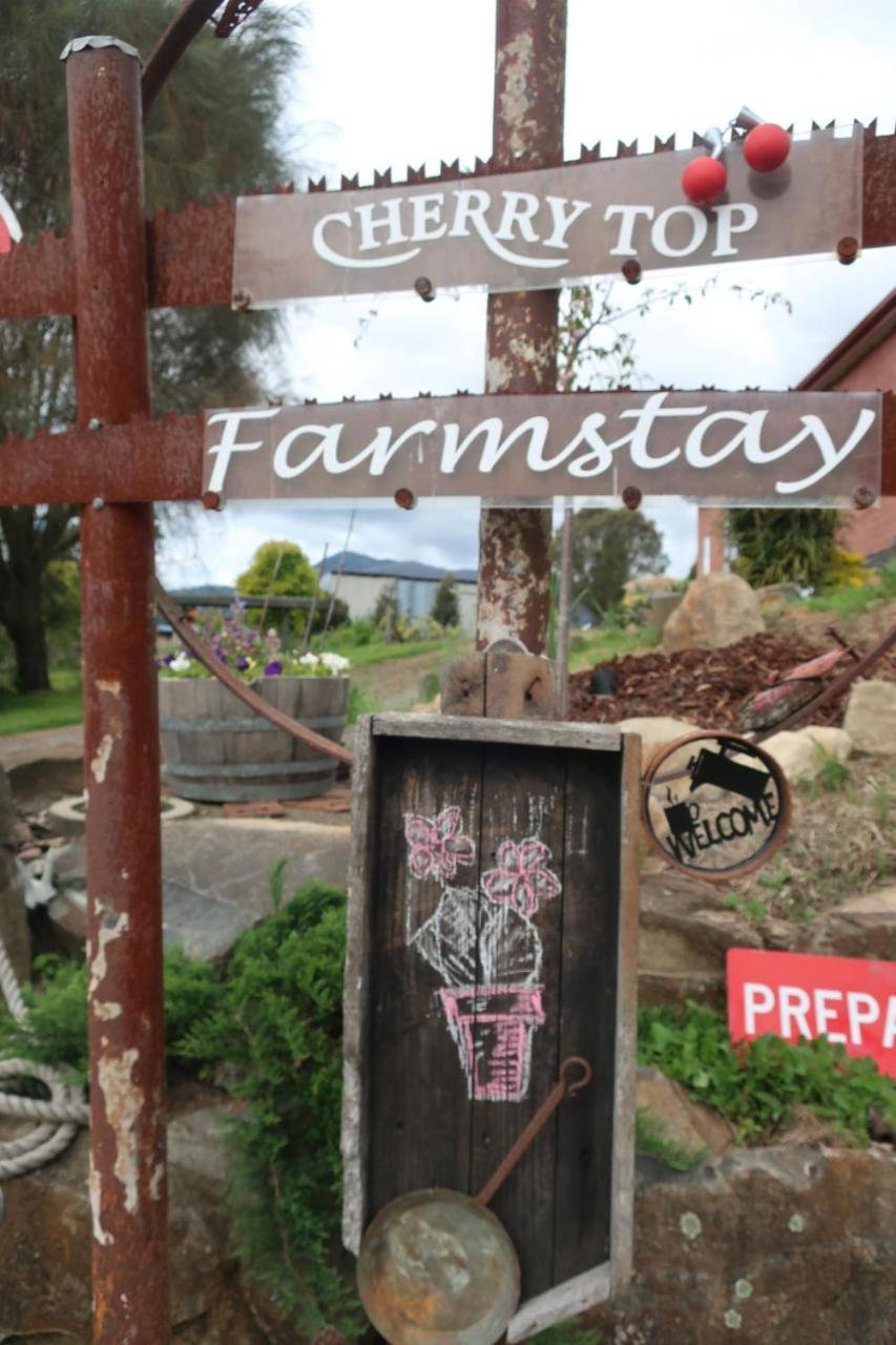 Cherry Top Farmstay - Boutique Eco Village Lilydale Exterior photo