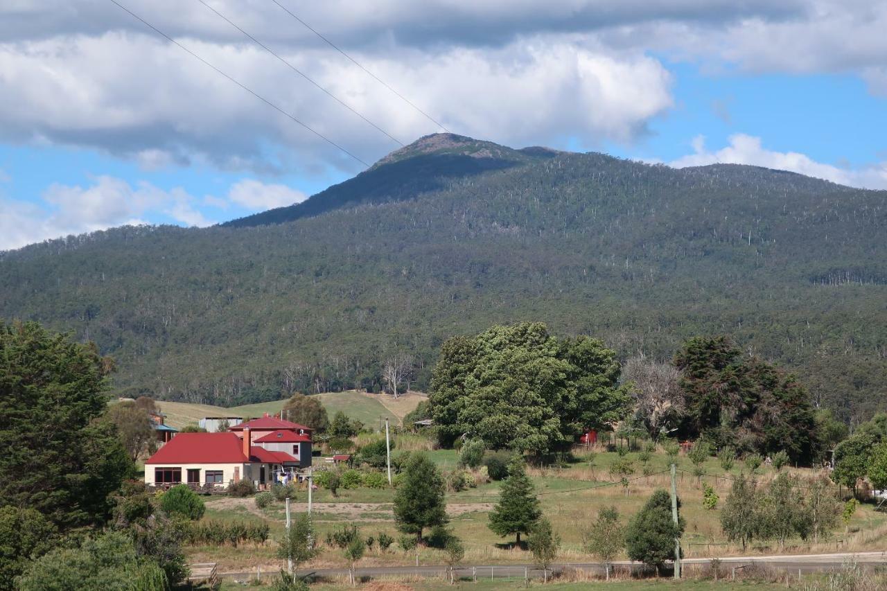 Cherry Top Farmstay - Boutique Eco Village Lilydale Exterior photo